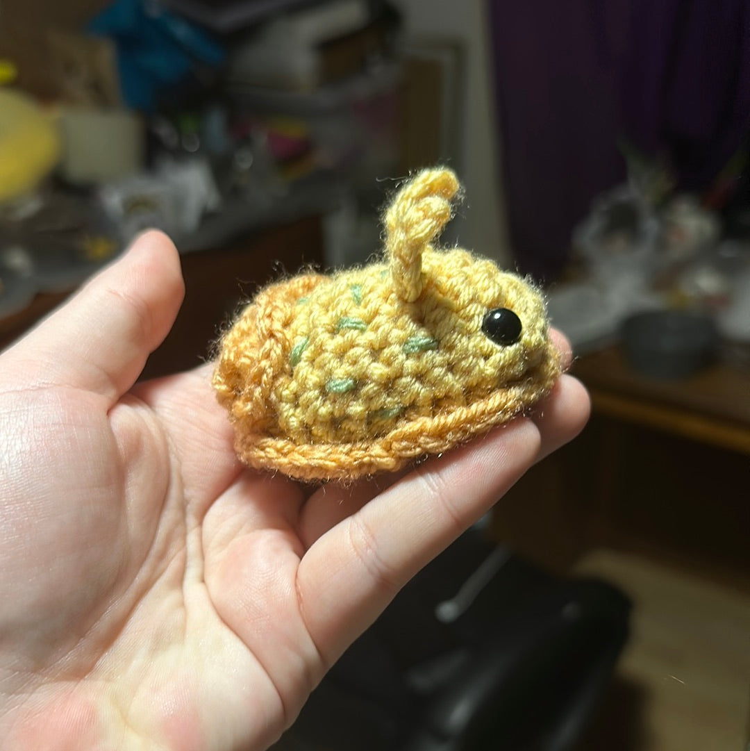 Sea bunny