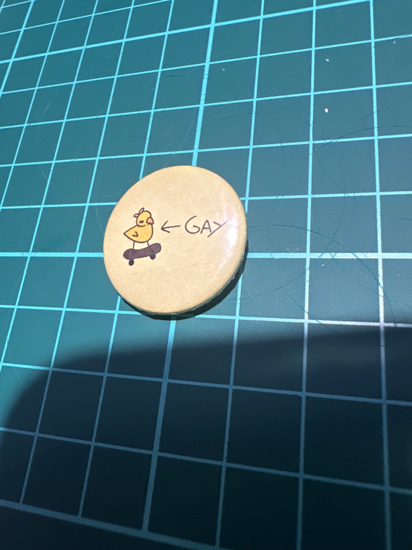 Gay skateboard duck button